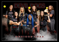 SRGroups23_Softball_Final_banner