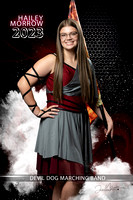 HaileyMorrow_Band_banner_TemplateBandSR23